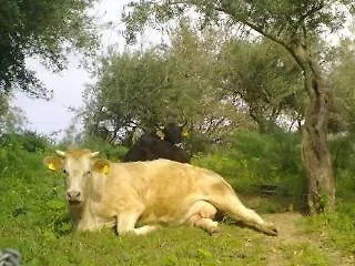 Monte Alto Σπίτι διακοπών