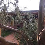 Monte Alto Σπίτι διακοπών *
