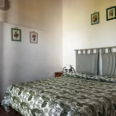 Monte Alto Casa de Férias