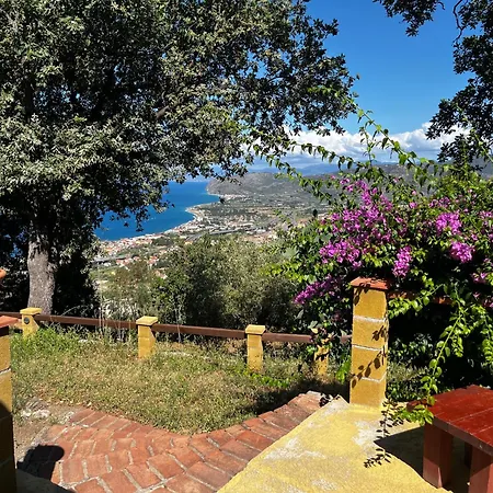 Monte Alto Casa de Férias *